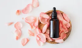 How to create a SPA salon website and start making money