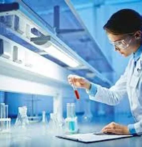 https://storage2.easyweek.io/processed/images/2025-03-16/355038a270545253ad28238eff6c16b5cbfeab151868179704b51d1669c839ee_275x183.jpg
