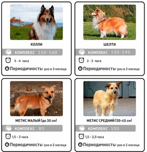 https://storage2.easyweek.io/processed/images/2025-06-08/25f290ec528f3b074900b7bdc8d0684f0bf6665f4a26f7ba4481e992c223ea7d_1920x1008.png