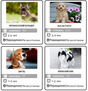 https://storage2.easyweek.io/processed/images/2025-06-08/43fe862f52171aaf7e5c3bf0eba061a07d612638451831cda5c0ddb717e0638e_1920x1008.png