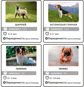https://storage2.easyweek.io/processed/images/2025-06-08/a5830ea89c12da445a81693399d47ae179ff7bb8d1cc8d79458b168da87c141e_1920x1008.png
