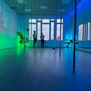 Pole art Space