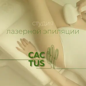 Cactus