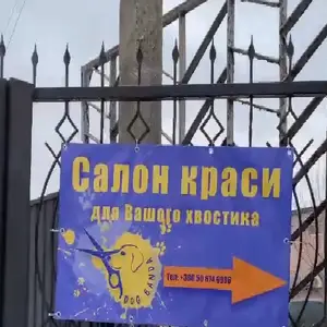 Dog Banda