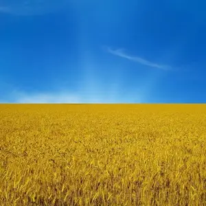 VfU