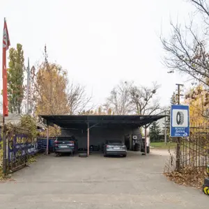 АЛЬО ШИНА Теремки