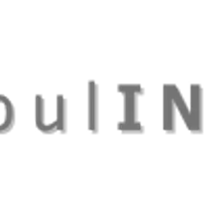 soulINmenta
