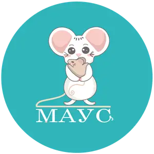 Оздоровчий центр для дітей “Mouse”