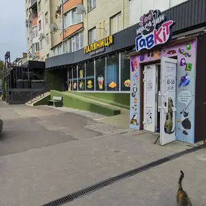 ГавКіт грумінг
