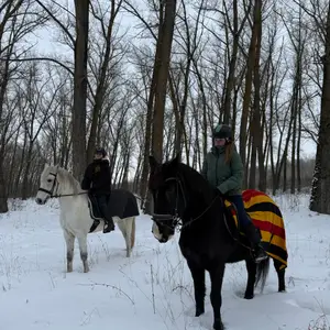 Кінний Клуб Казка