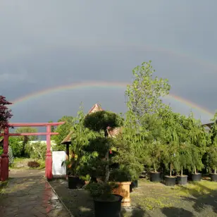 Заміський комплекс "Сакура" photo 3