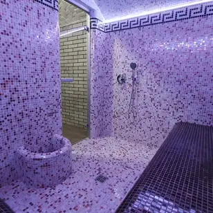 Antares SPA Luxe photo 5