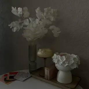 DK Studio photo 4