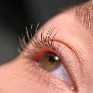 kmiets brows & lashes photo 4
