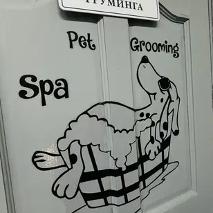 ABC Pets Казахфильм photo 3