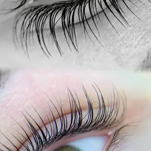 Brows & Lashes photo 4