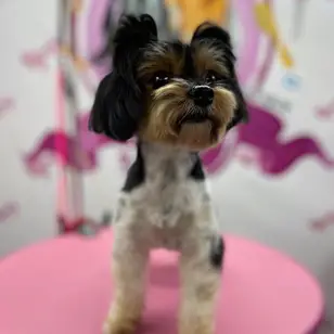 Betty photo 2
