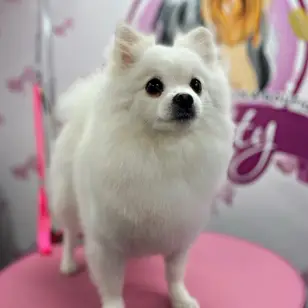 Betty photo 5