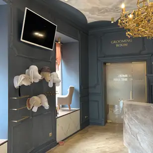 Amanda Pet’s Spa photo 3