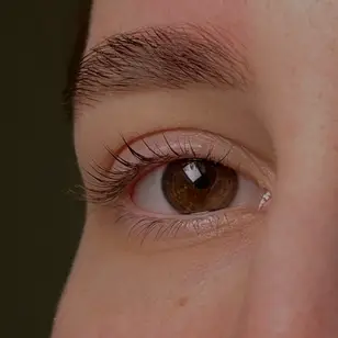 llabrows photo 2