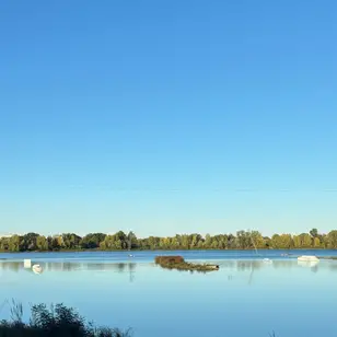SEVEN BAY WAKE PARK photo 4