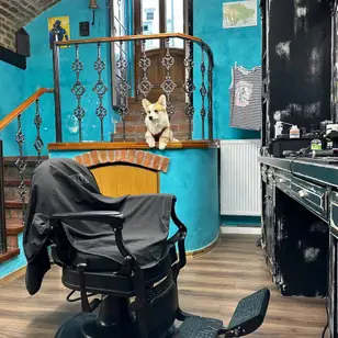 Odessa Mama Barbershop photo 5
