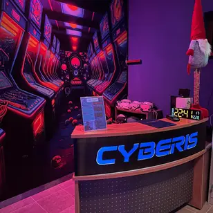 CYBERIS photo 2