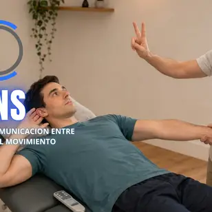 Corpa Lab. Neurociencia y Movimiento photo 3