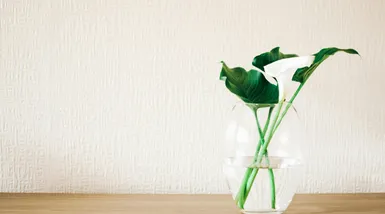 5 Best ideas for a cool salon