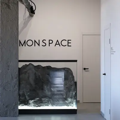 MONSPASE photo 6