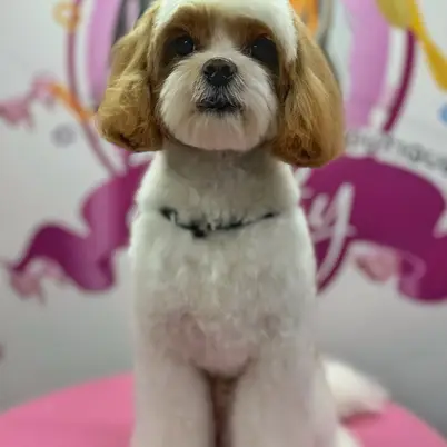 Betty photo 140