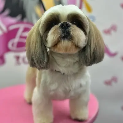 Betty photo 144