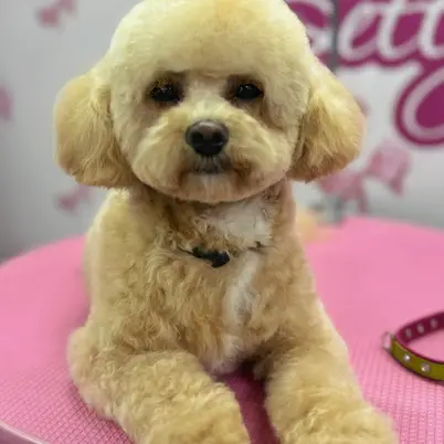Betty photo 147