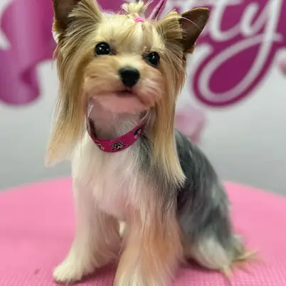 Betty photo 134