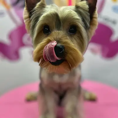 Betty photo 135