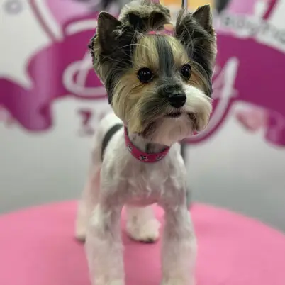 Betty photo 153