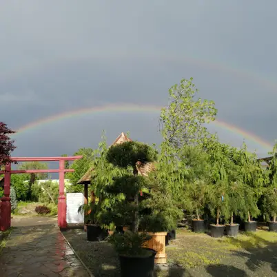 Заміський комплекс "Сакура" photo 3
