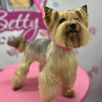 Betty photo 99