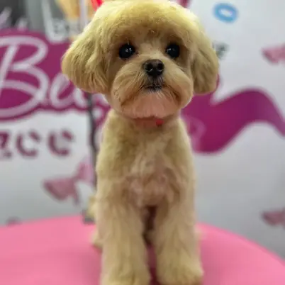 Betty photo 101