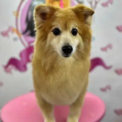 Betty photo 105