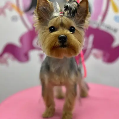 Betty photo 107