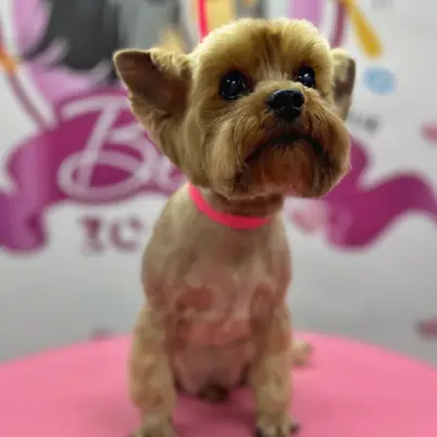 Betty photo 108