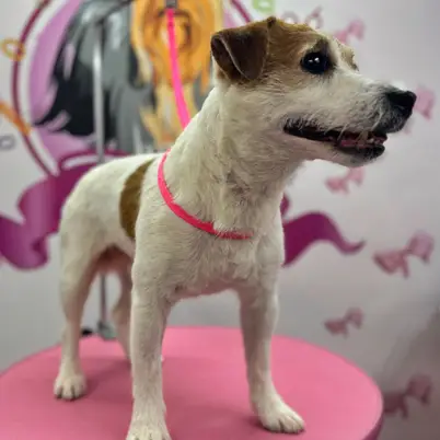 Betty photo 113