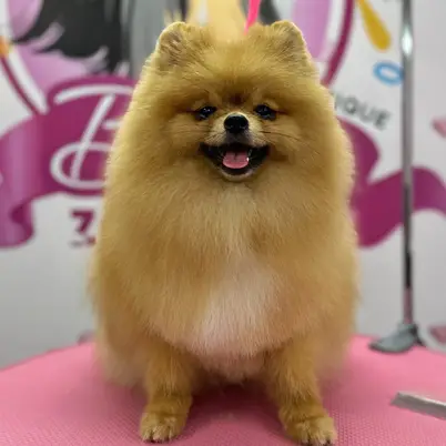 Betty photo 114