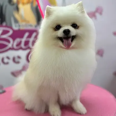 Betty photo 119