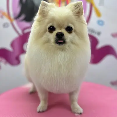 Betty photo 120