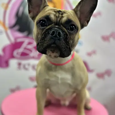 Betty photo 122