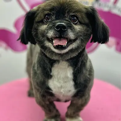 Betty photo 161