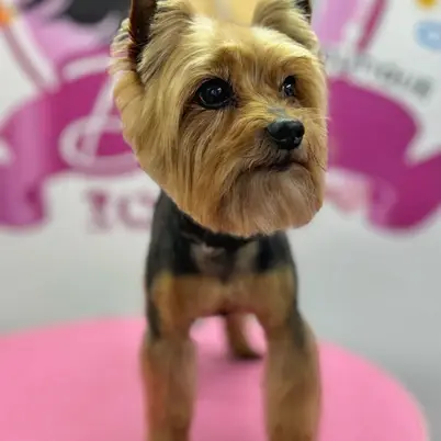 Betty photo 162