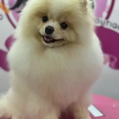 Betty photo 170